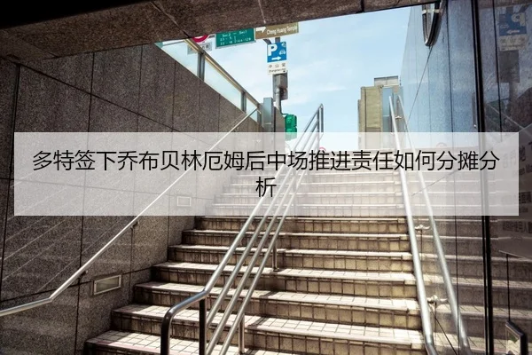 多特签下乔布贝林厄姆后中场推进责任如何分摊分析