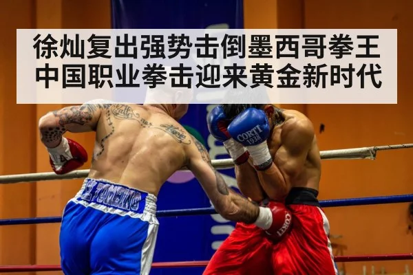 徐灿复出强势击倒墨西哥拳王中国职业拳击迎来黄金新时代