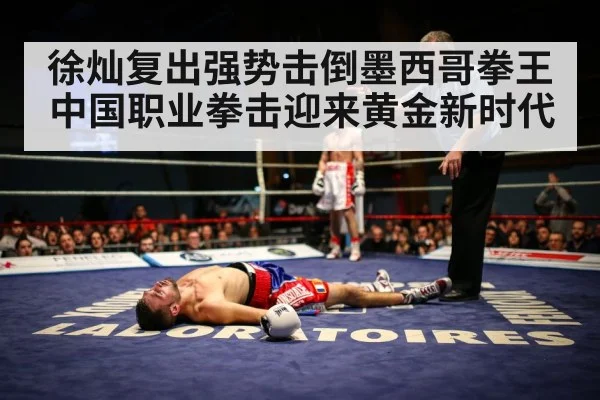 boxing knockout moment