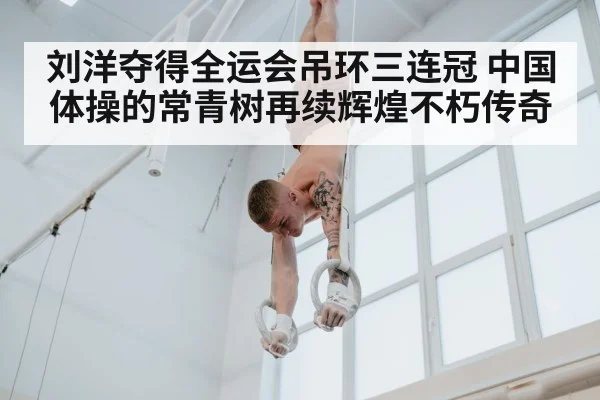 刘洋夺得全运会吊环三连冠 中国体操的常青树再续辉煌不朽传奇