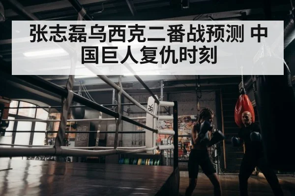 张志磊乌西克二番战预测 中国巨人复仇时刻